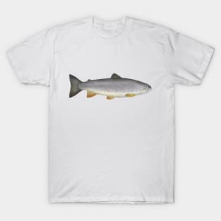 Zubatak Trout T-Shirt